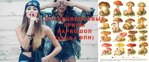 шишки Алексеевка