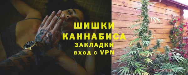 шишки Алексеевка