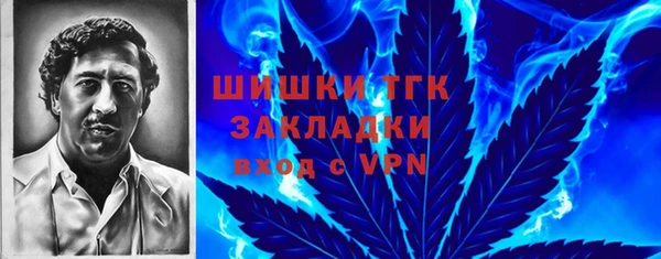 шишки Алексеевка