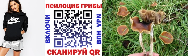 Псилоцибиновые грибы Psilocybine cubensis  кракен вход  Данков 